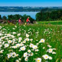 Cycling in the glorious Salzburg Lake District | Norbert Eisele-Hein