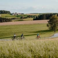 Cyclists on the Danube Cycle Path | CM Visuals