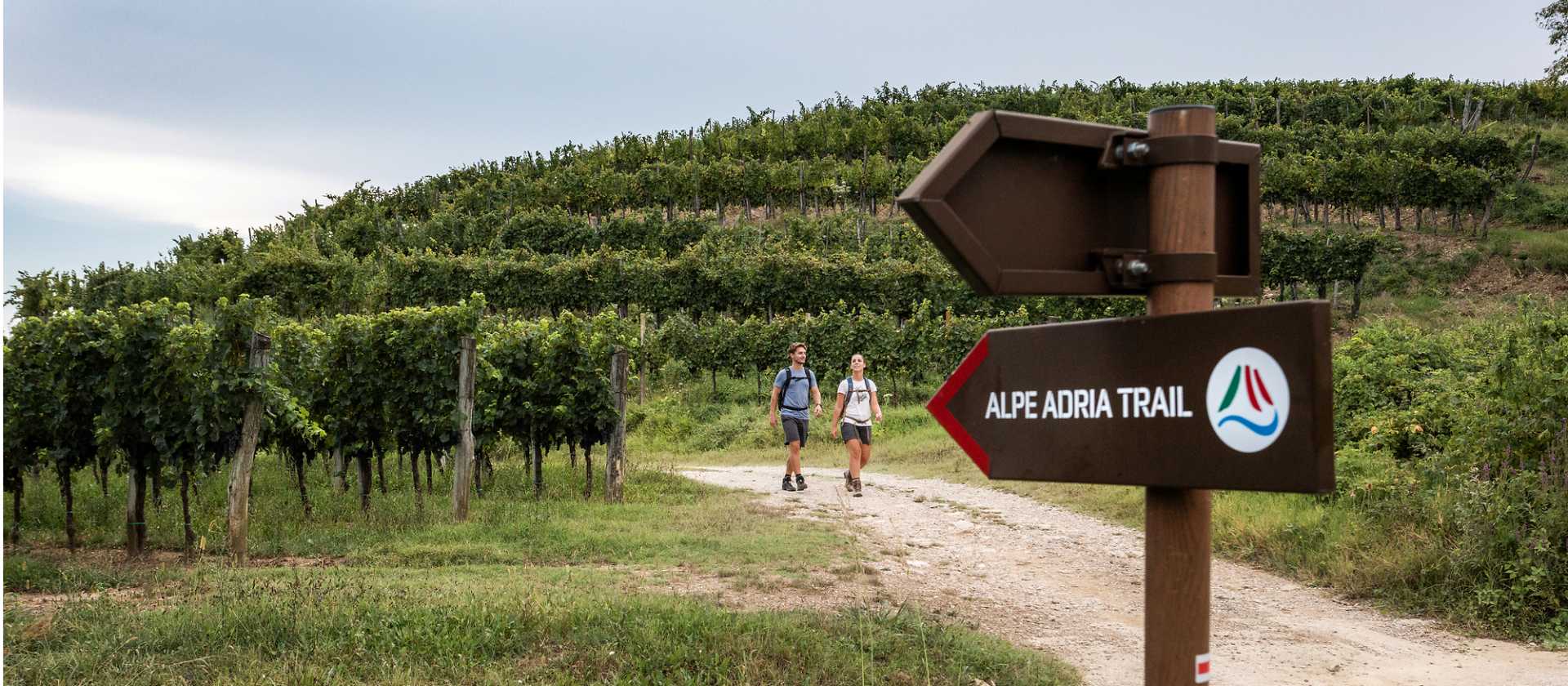 Hiking by vineyard trails in Slovenia