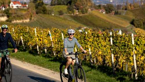 Enjoy a cycling tour in Europe