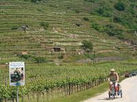 Cycling with trailer in the Wachau Valley, Austria |  <i>Kate Baker</i>