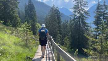 Day 4 - Walking,Tali Emdin Walking through forests on the Lechweg Trail