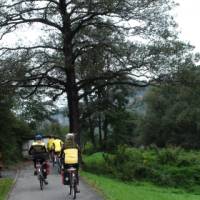 Ghostriders cycle through the forest | Dennis Dawson