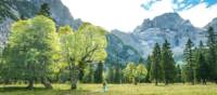 Scenery along the Trans Tyrol trail in Austria | Dietmar Denger