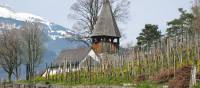 The village of Triesen in Liechtenstein