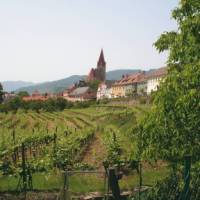 Wine growing village in the Wachau Valley, Austria | Kate Baker