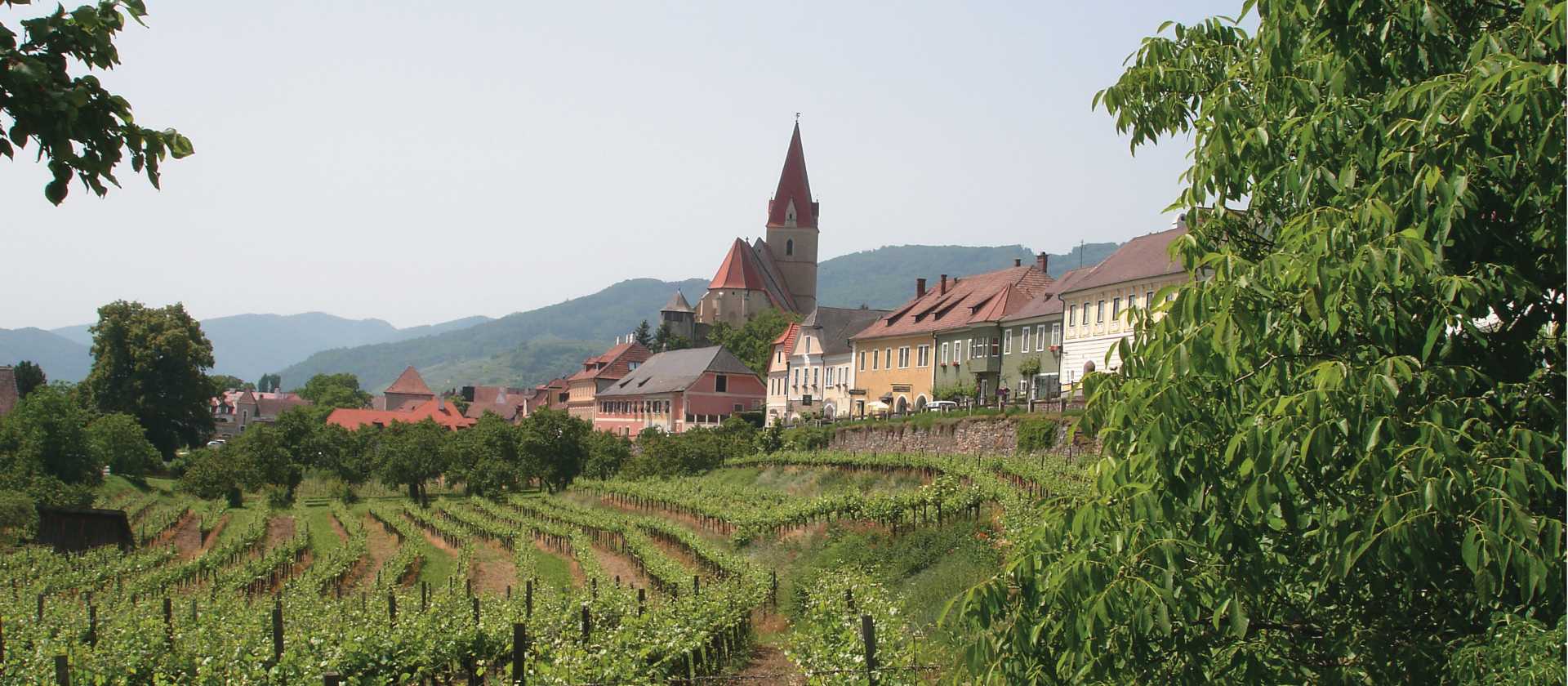Wine growing village in the Wachau Valley, Austria | Kate Baker