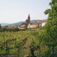 Wine growing village in the Wachau Valley, Austria | Kate Baker