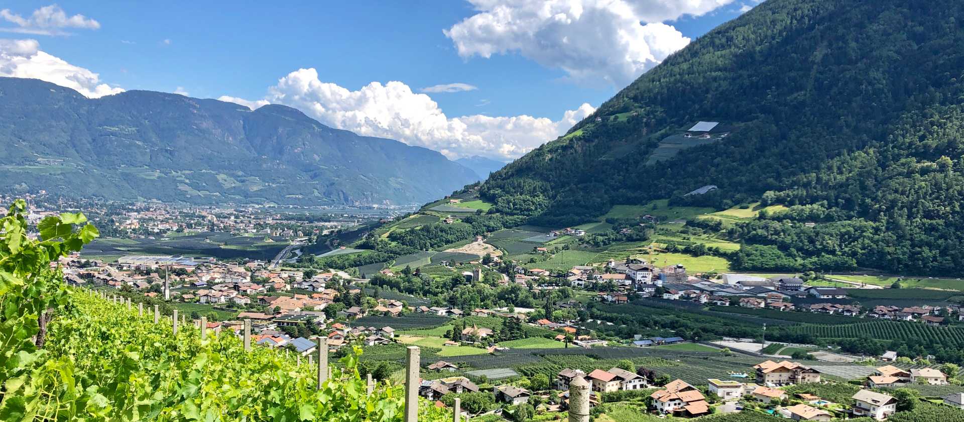 Panoramic views across Merano and the surrounding peaks of South Tyrol