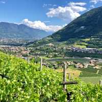 Panoramic views across Merano and the surrounding peaks of South Tyrol