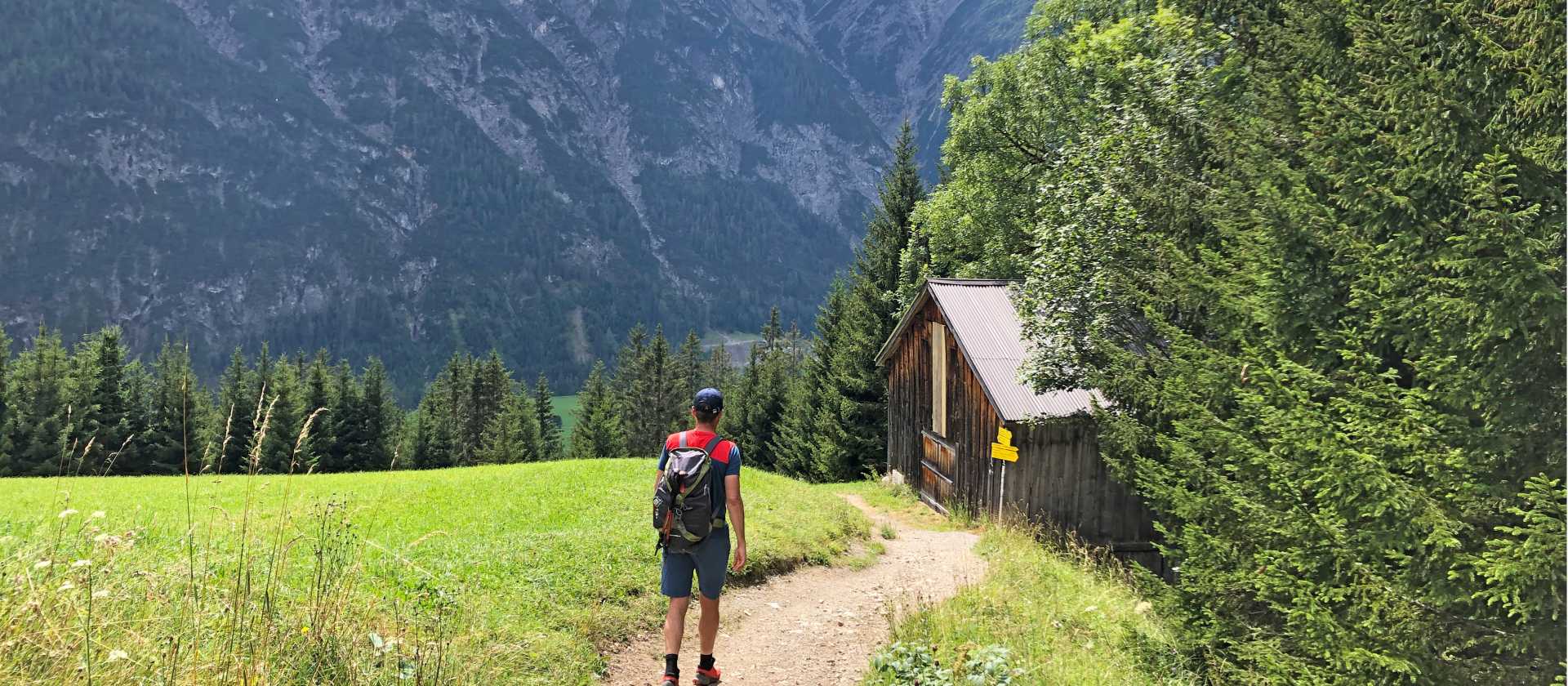 Alpine pastures, Austrian Alps