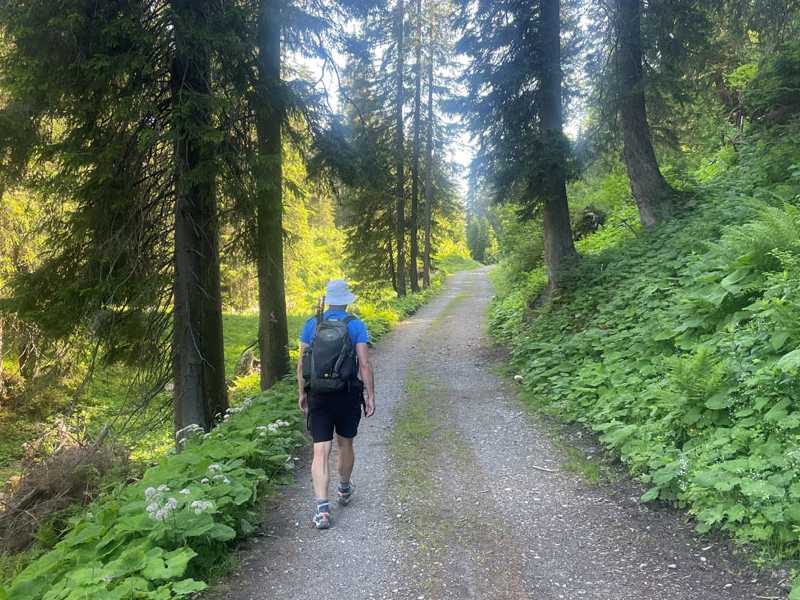 Hiking the Lechweg Trail |  Tali Emdin
