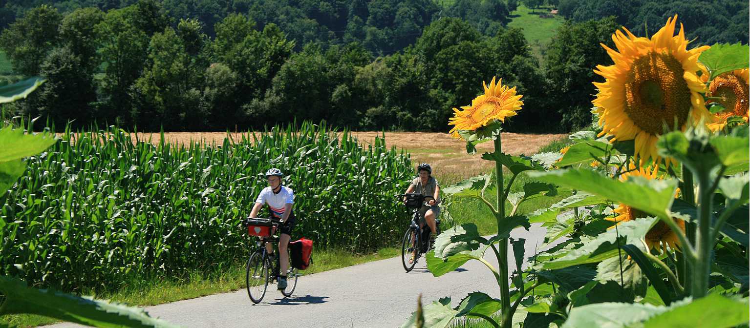 Enjoy a cycling tour through Austria
