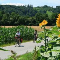 Enjoy a cycling tour through Austria