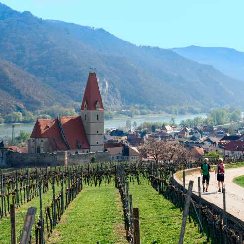 Explore Austria on a walking holiday