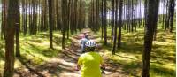 Cycling on the Curonian Spit |  <i>Gesine Cheung</i>