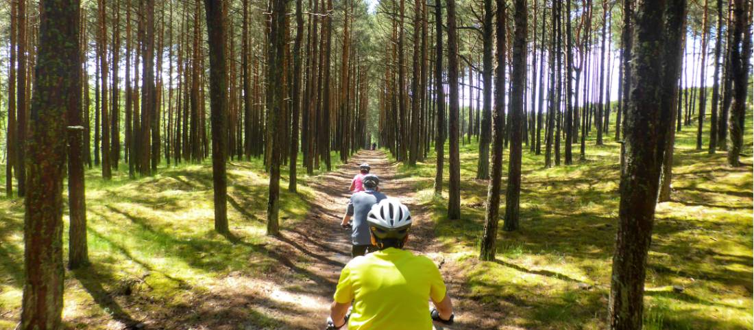Cycling on the Curonian Spit |  <i>Gesine Cheung</i>
