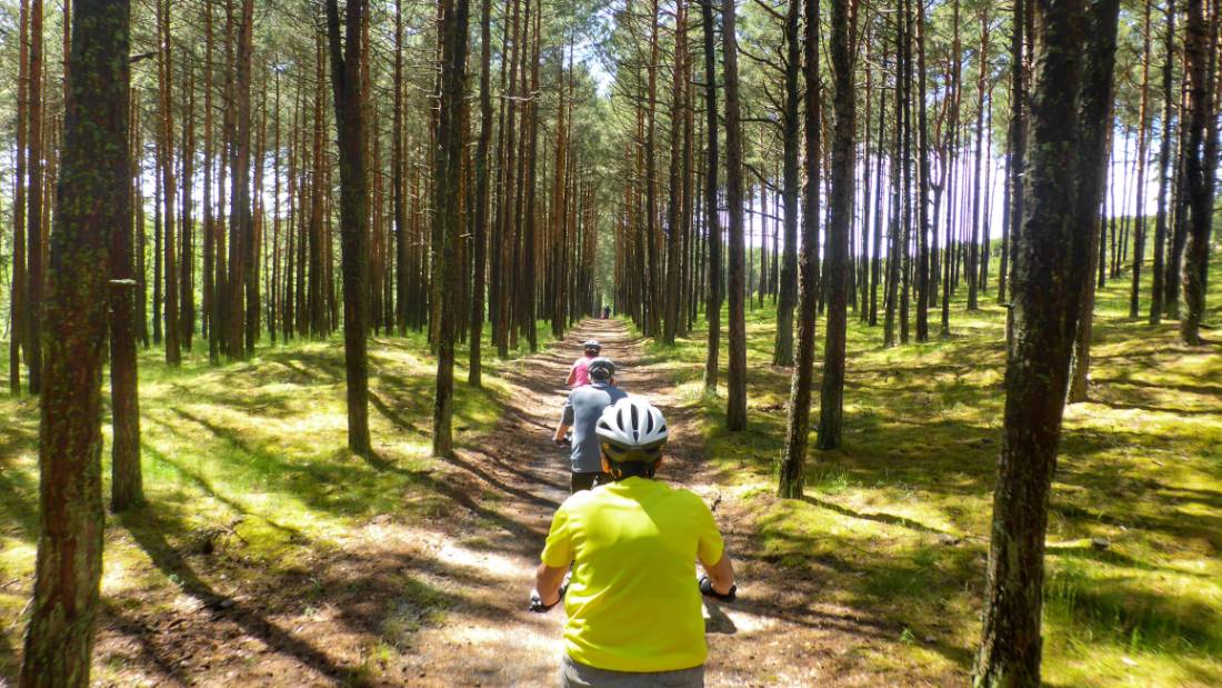 Cycling on the Curonian Spit |  <i>Gesine Cheung</i>