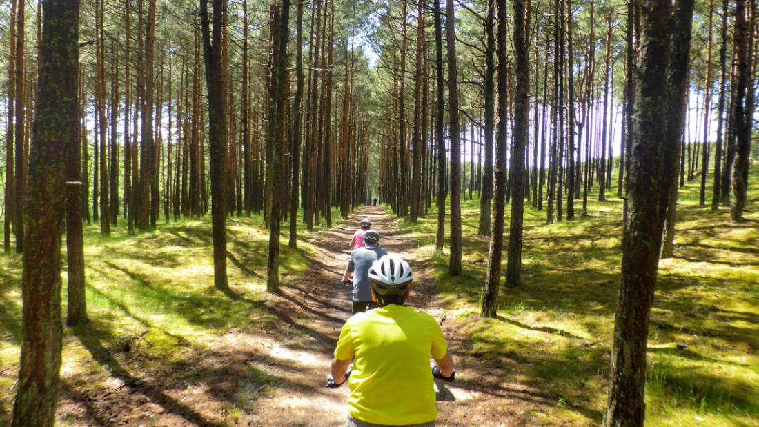 Cycling on the Curonian Spit |  <i>Gesine Cheung</i>