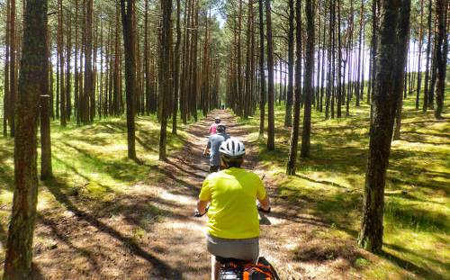Cycling on the Curonian Spit&#160;-&#160;<i>Photo:&#160;Gesine Cheung</i>