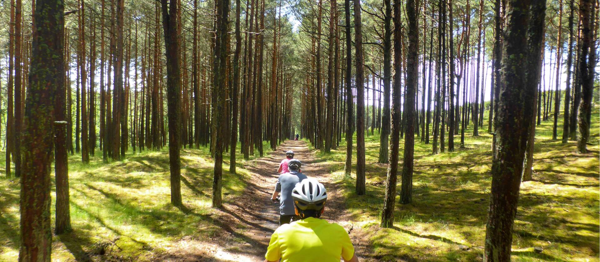Cycling on the Curonian Spit | Gesine Cheung
