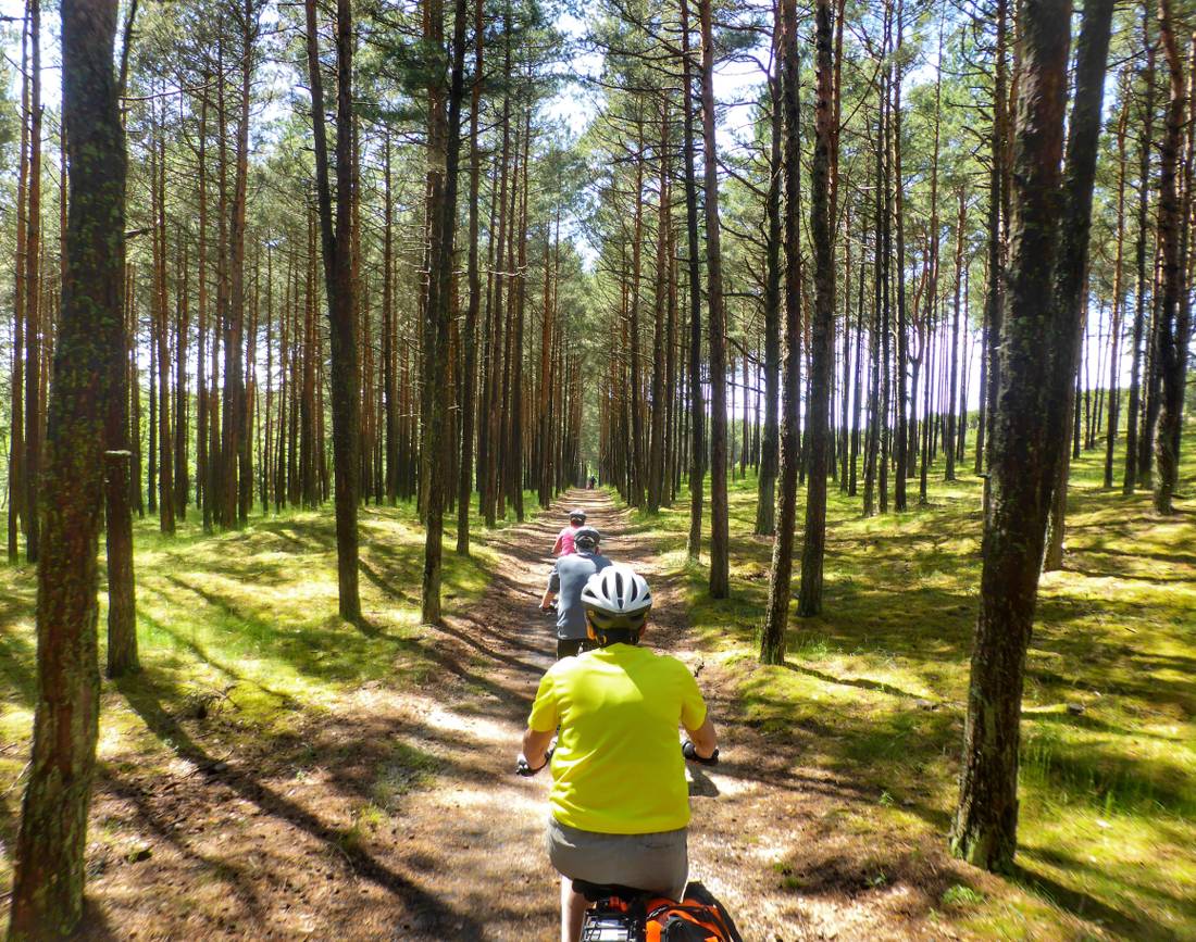 Cycling on the Curonian Spit |  <i>Gesine Cheung</i>
