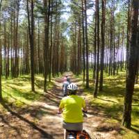 Cycling on the Curonian Spit | Gesine Cheung