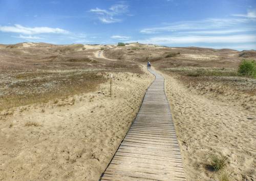 The Curonian Spit is a pre-historic sand dune peninsula&#160;-&#160;<i>Photo:&#160;Gesine Cheung</i>