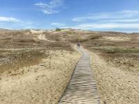 The Curonian Spit is a pre-historic sand dune peninsula |  <i>Gesine Cheung</i>