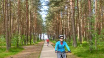 Our Baltic coast cycle will take you through Lithuania's lush northern pine forests