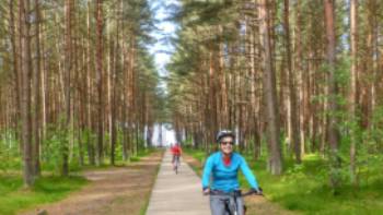 Our Baltic coast cycle will take you through Lithuania's lush northern pine forests | Gesine Cheung