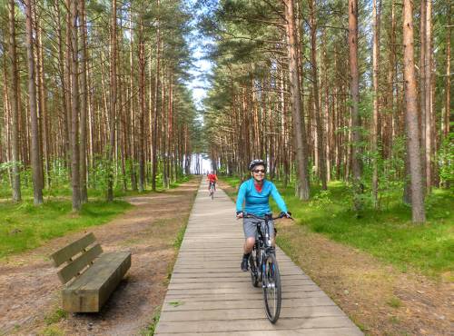 Our Baltic coast cycle will take you through Lithuania's lush northern pine forests&#160;-&#160;<i>Photo:&#160;Gesine Cheung</i>