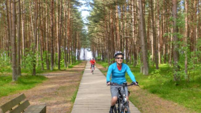 Our Baltic coast cycle will take you through Lithuania's lush northern pine forests | Gesine Cheung