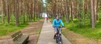 Our Baltic coast cycle will take you through Lithuania's lush northern pine forests | Gesine Cheung