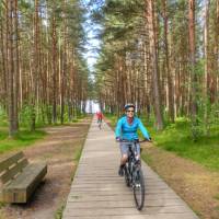 Our Baltic coast cycle will take you through Lithuania's lush northern pine forests | Gesine Cheung