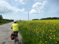 Cycling through the Latvian countryside |  <i>Gesine Cheung</i>