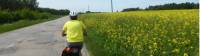 Cycling through the Latvian countryside |  <i>Gesine Cheung</i>