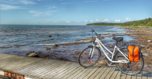 Enjoying the coastal views on Saaremaa Island, Estonia&#160;-&#160;<i>Photo:&#160;Gesine Cheung</i>