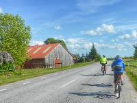 Cycling through rural landscapes on Saaremaa Island, Estonia |  <i>Gesine Cheung</i>