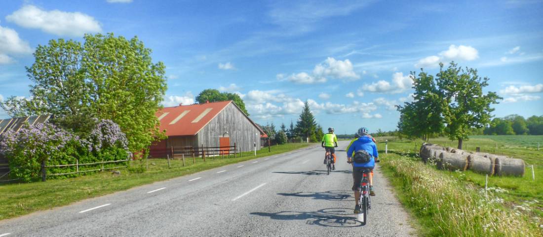 Cycling through rural landscapes on Saaremaa Island, Estonia | <i>Gesine Cheung</i>