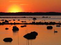 Sunset at Lahemaa National Park, Estonia |  <i>Saulius Ružinskas</i>