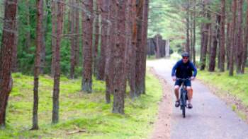 Scenic cycling through pine forests in Lithuania