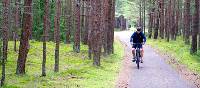 Scenic cycling through pine forests in Lithuania | Andrew Bain