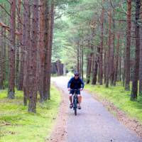 Scenic cycling through pine forests in Lithuania | Andrew Bain