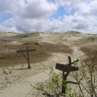 Sand dune landscape on the Curonian Spit