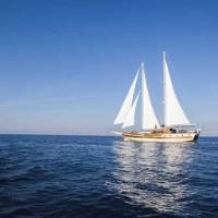 Erato Gulet_sailing