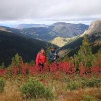 Admiring the flowers on the High Trails of the Balkans