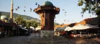 The many pigeons of Sarajevo's iconic Sebilj Fountain in Bosnia