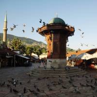 The many pigeons of Sarajevo's iconic Sebilj Fountain in Bosnia