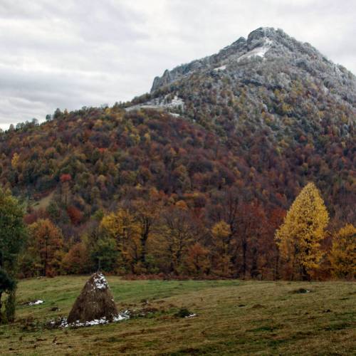 Balkan video live chat